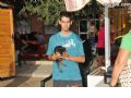 Concurso canino - 20 Concurso canino - 20